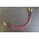 Cardas Golden Cross 2x 0.5m