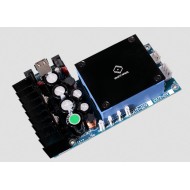 SILENT ANGEL – Forester F1