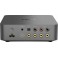 WiiM VibeLink Amp
