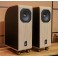 Acoustic Line Prestige 5