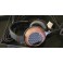 Fostex TH808