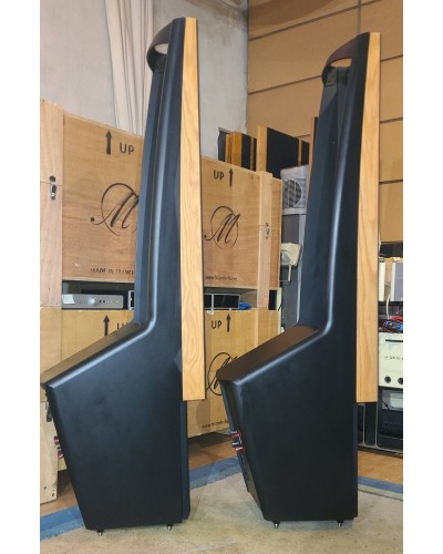 Martin Logan Ascent I