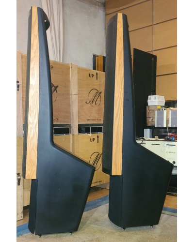 Martin Logan Ascent I