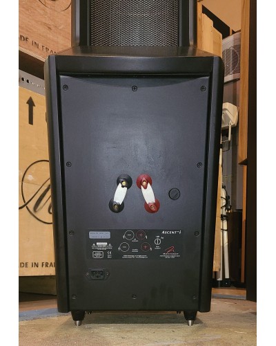 Martin Logan Ascent I